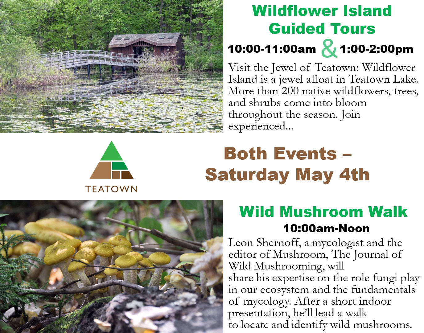 Teatown 2Tours