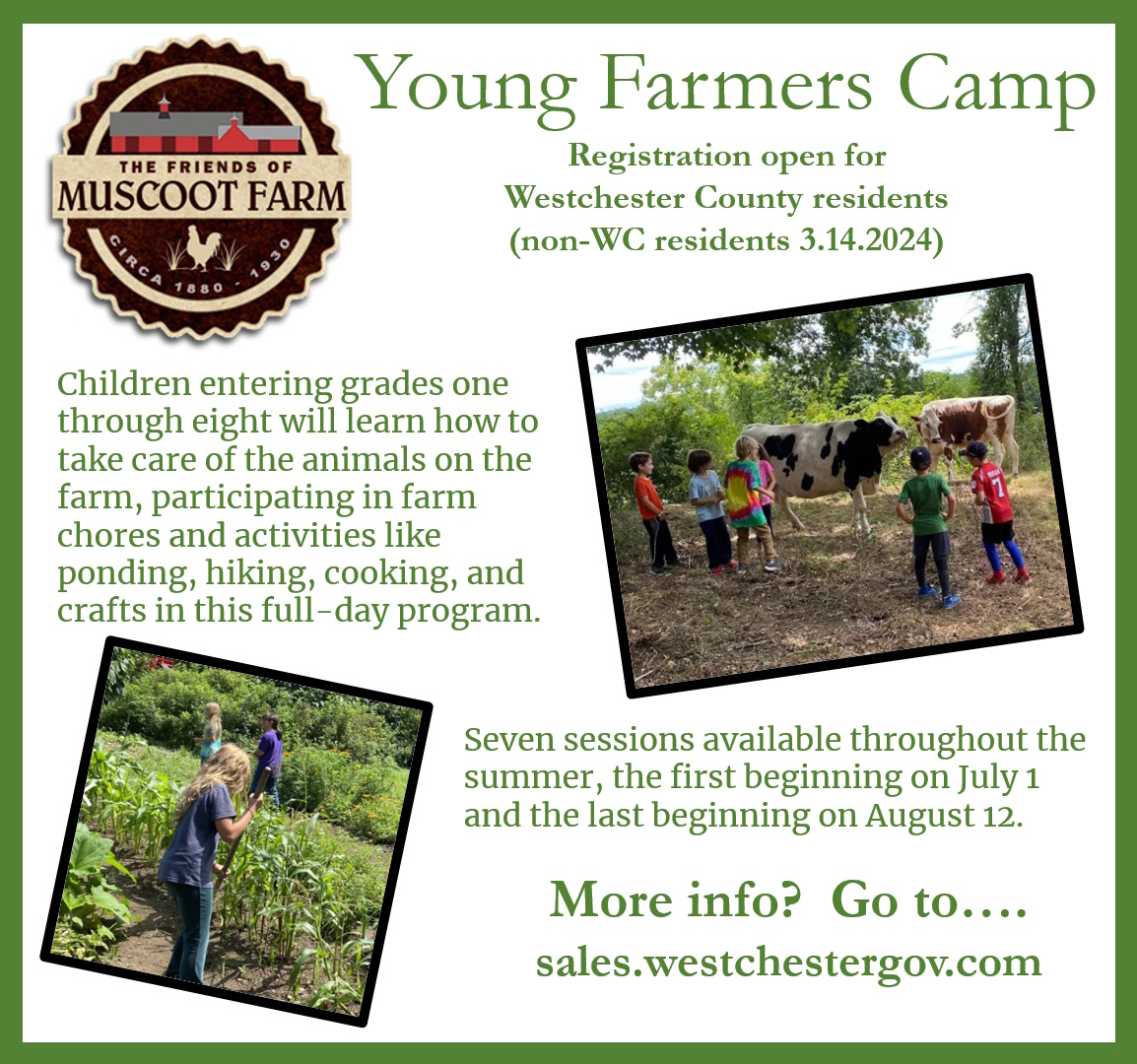 YoungFarmersCamp