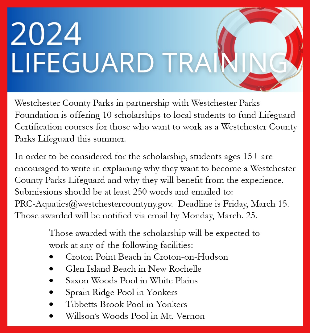Lifeguard