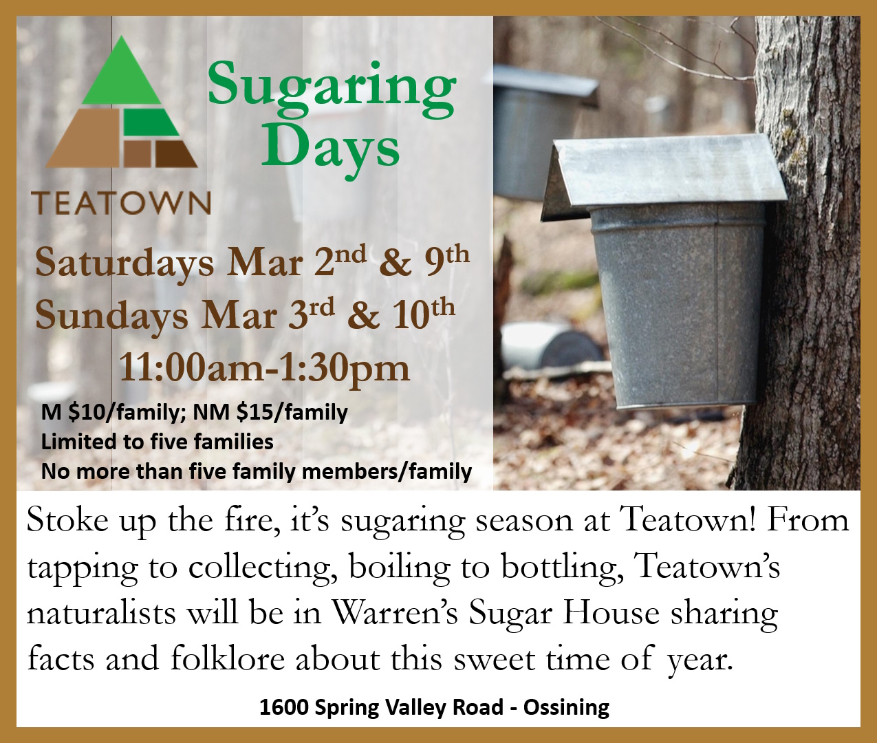 TeatownSugaring
