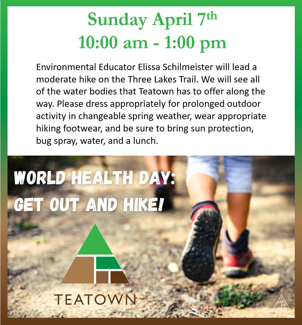 Teatown WorldHealthDay