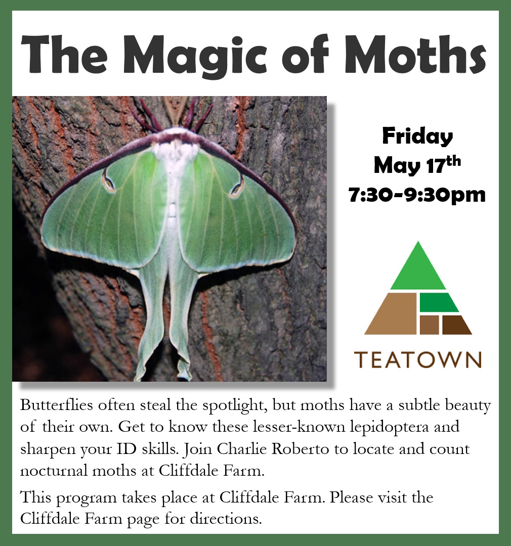 Moths