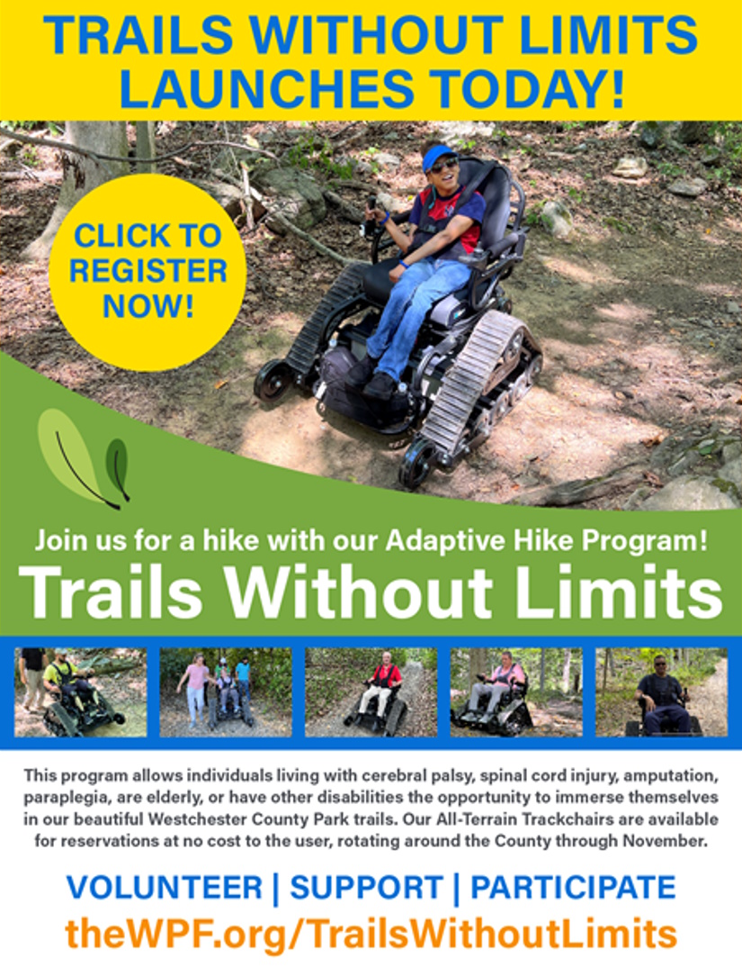 TraisWithoutLimitws
