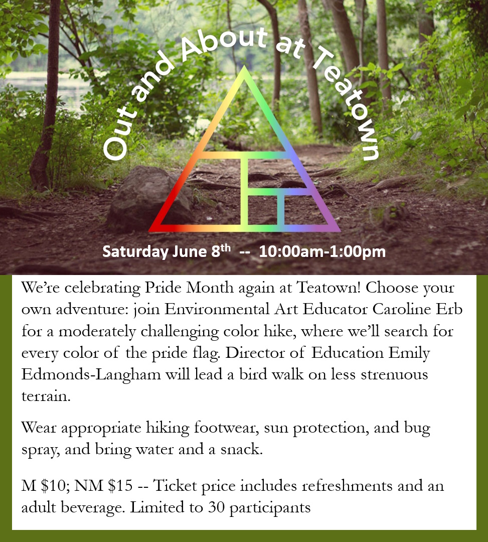 TeatownPride2