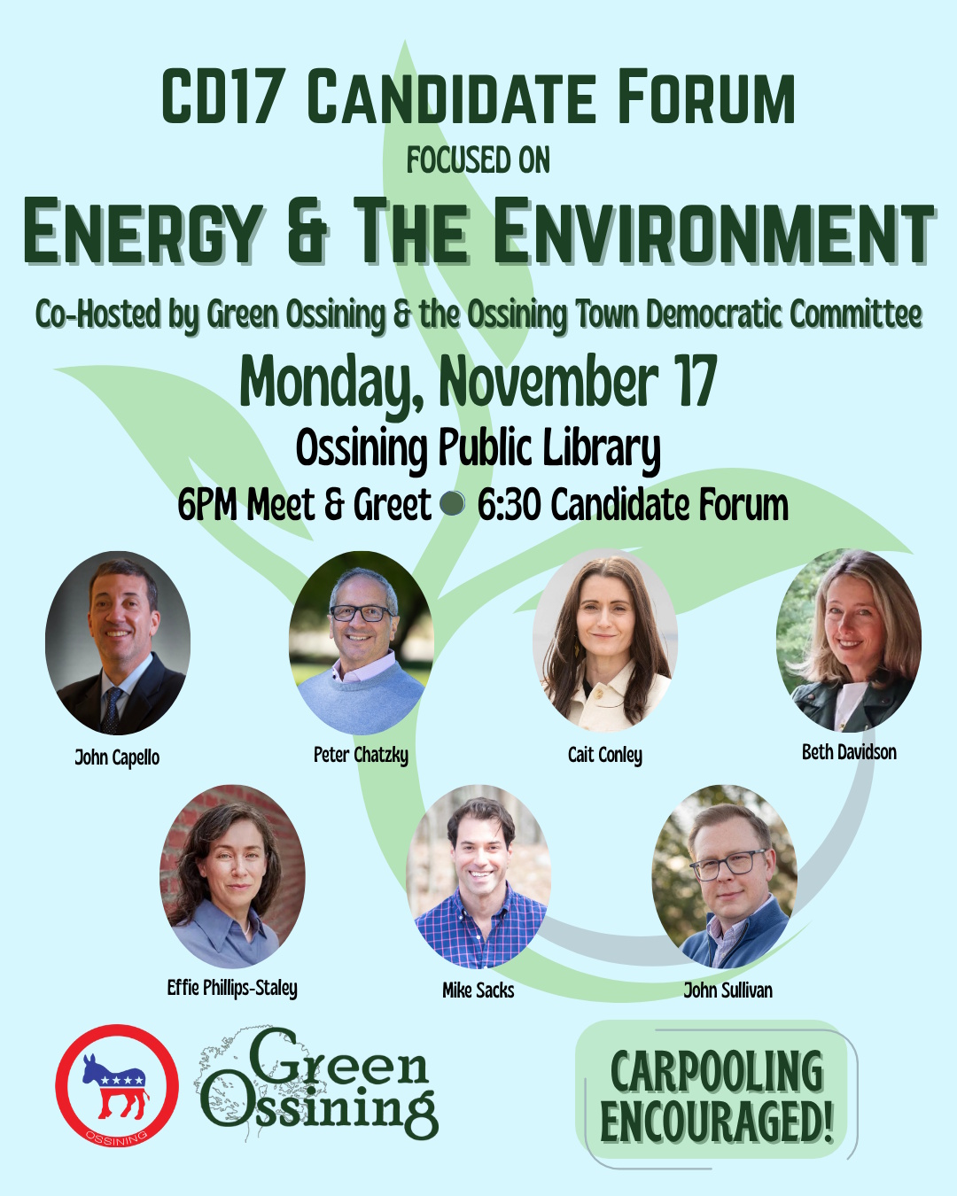 CD17 Energy Environment Forum e graphic 2