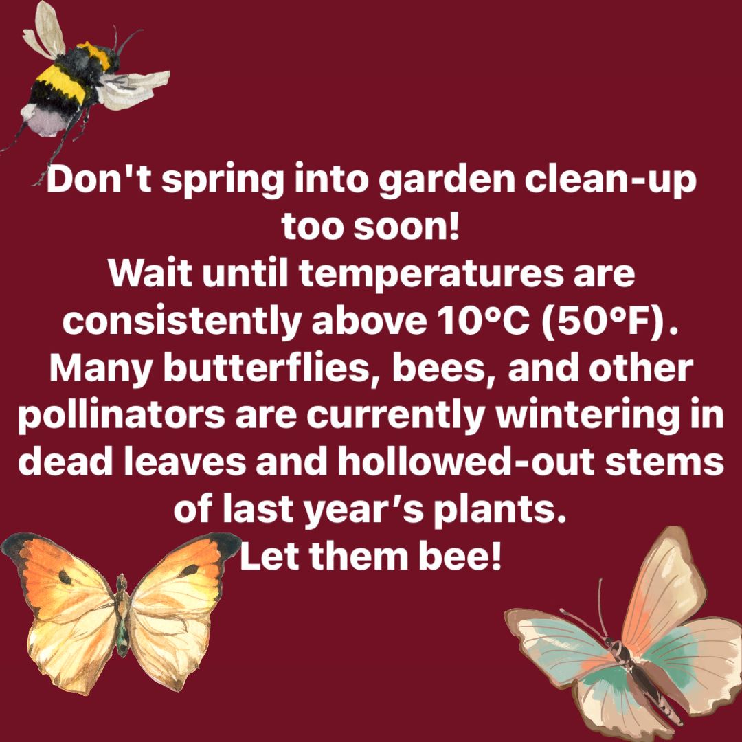 Spring Clean Garden