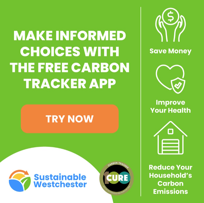 Carbon Tracker