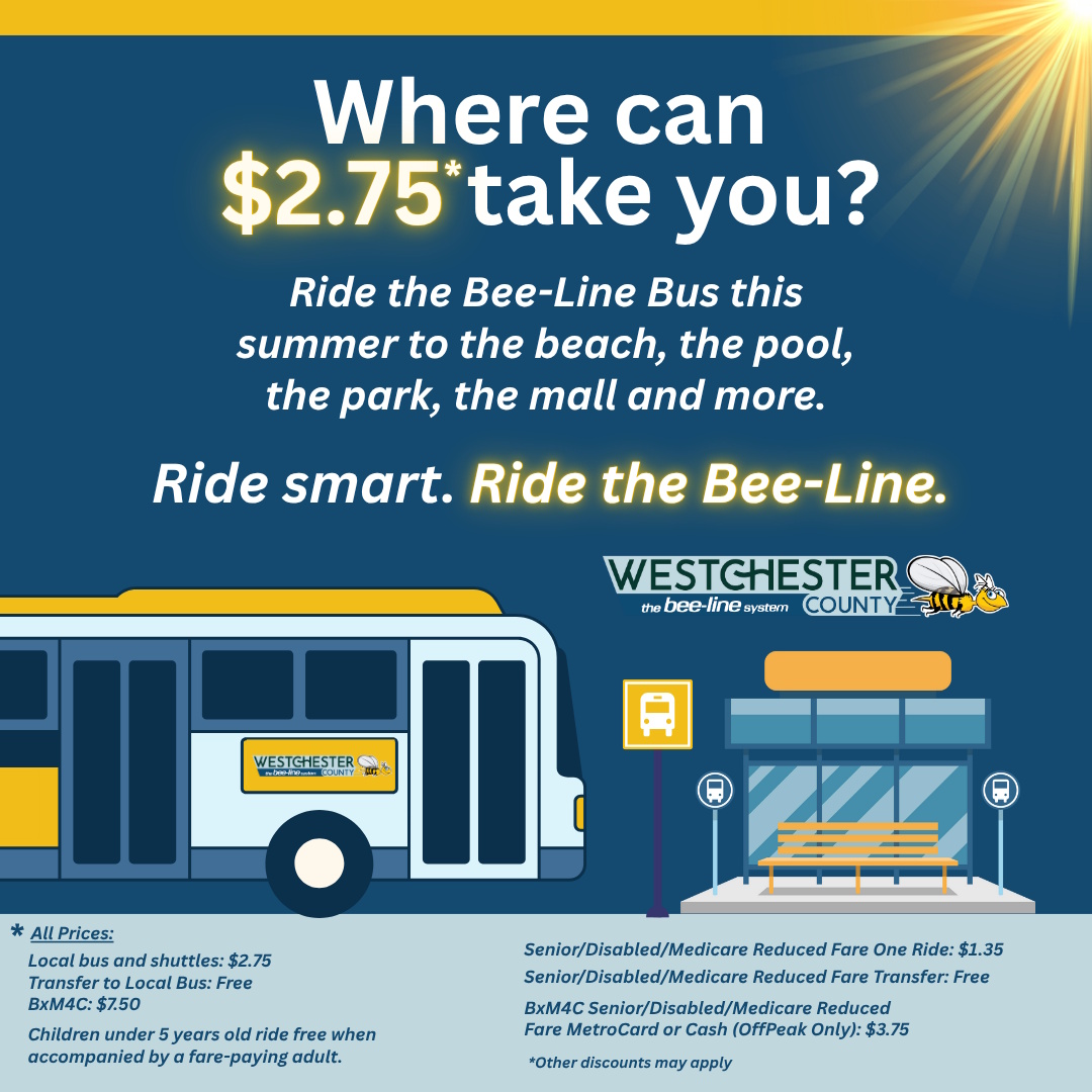 Beeline Summer Flyer Square