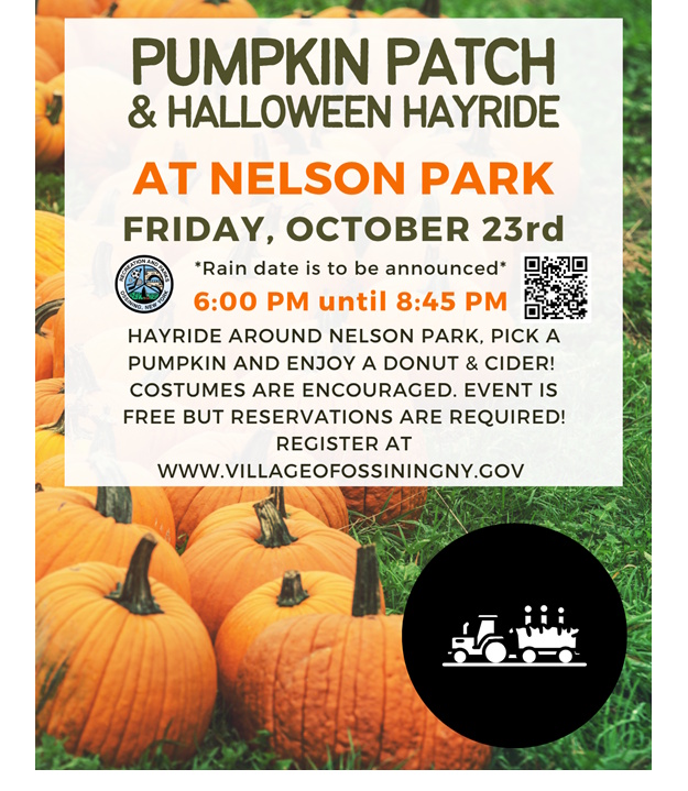 Pumpkin Patch