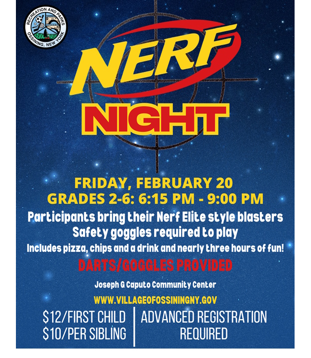 Nerf Night