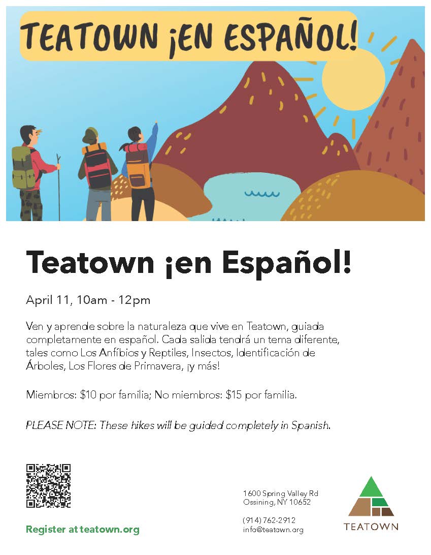 teatown en espanol