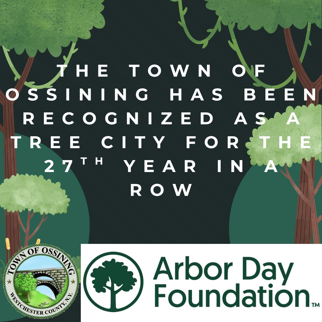 Tree City 1