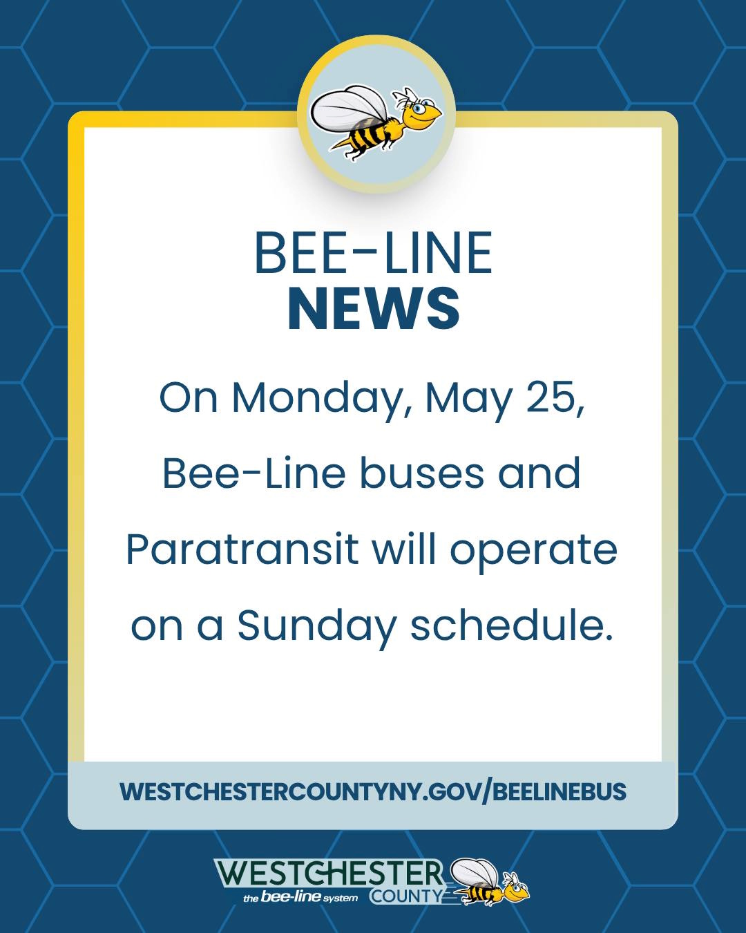 Bee Line Busses