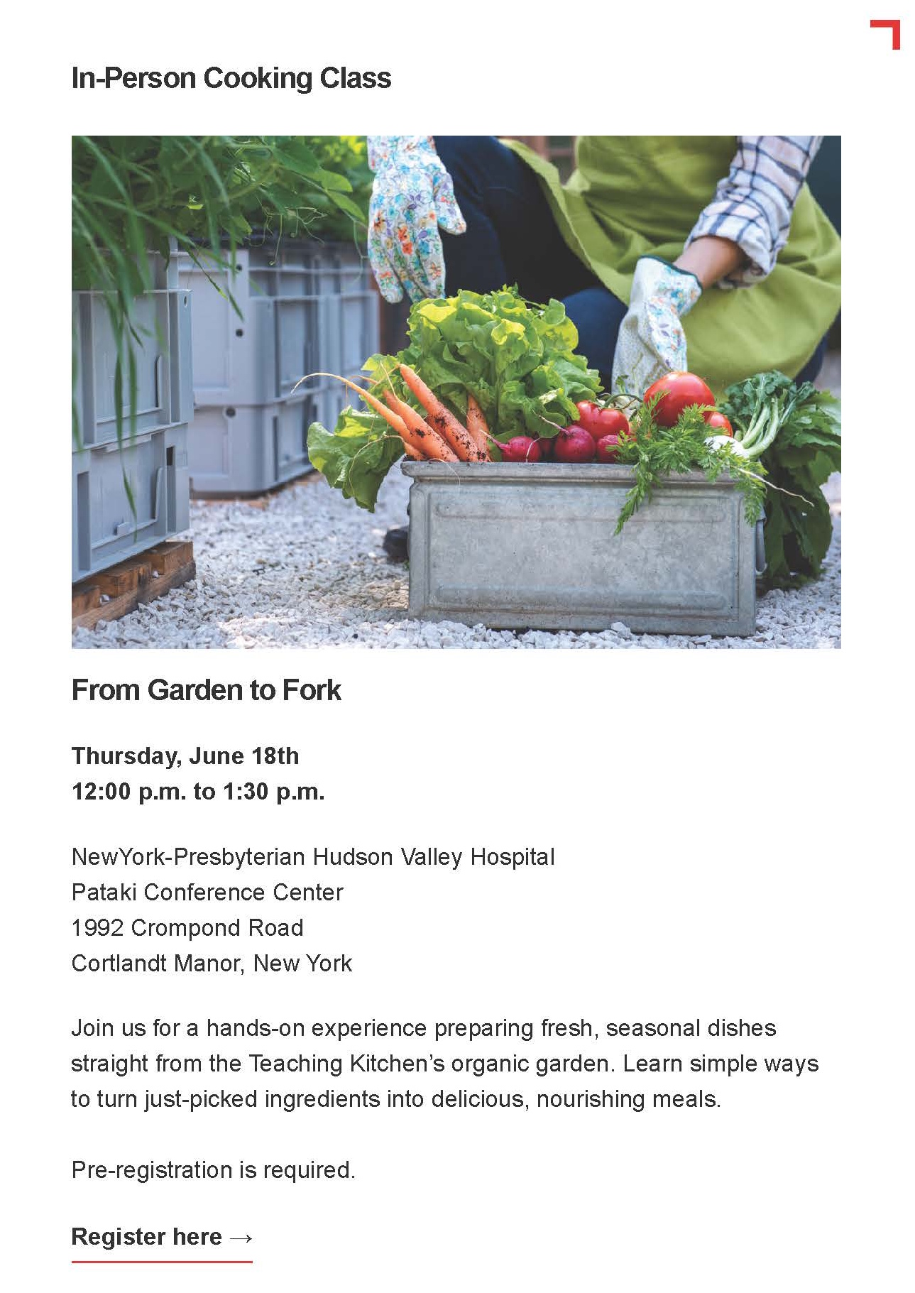 In Person Cooking Class
